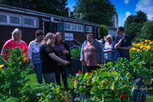 The GoWell Panel members in a community garden 