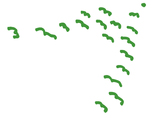 birds flying in a flock