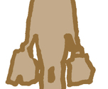 person shopping